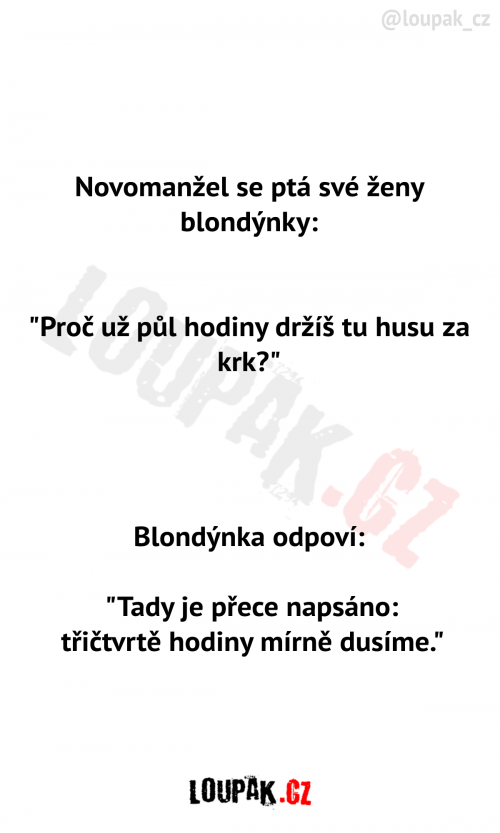  Novomanžel se ptá blondýnky 