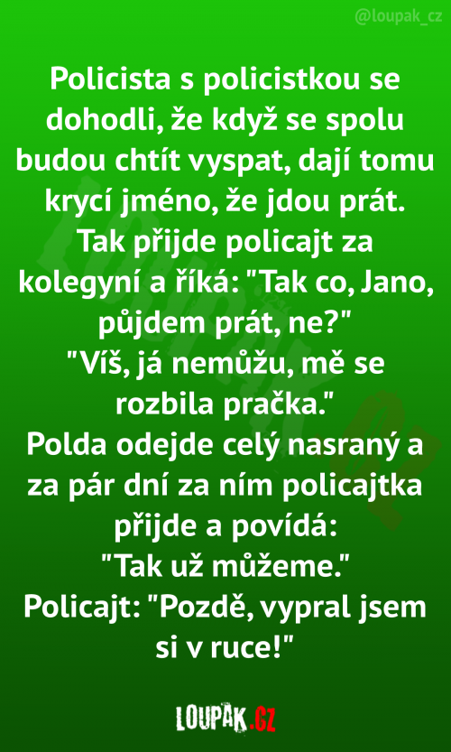 Policista s policistkou se dohodli, že kdyz se