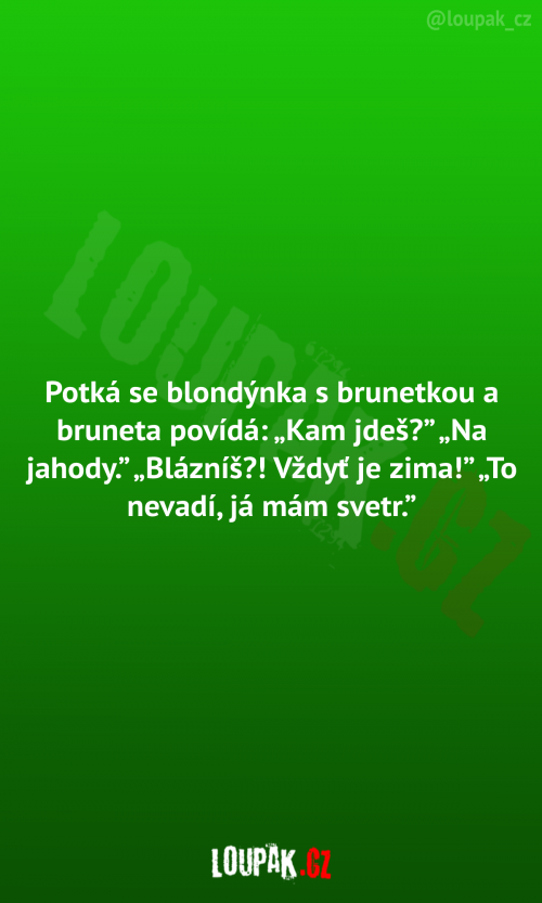  Potká se blondýnka s brunetkou 