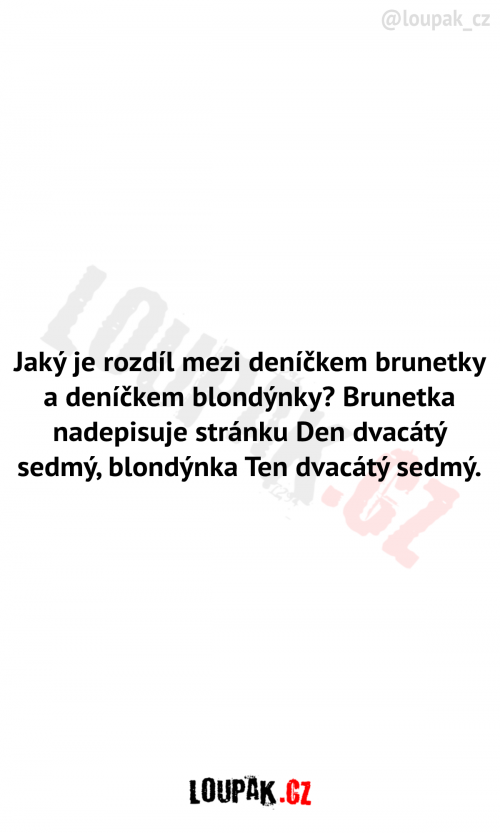  Rozdíl mezi deníčkem brunetky a blondýnky 