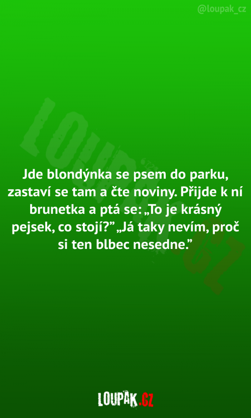  Blondýnka jde se psem do parku 