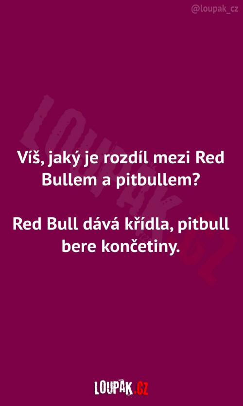  Rozdíl mezi Red Bullem a pitbullem 