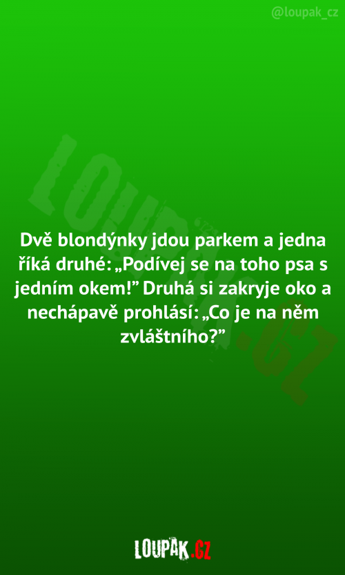  Dvě blondýnky jdou parkem 