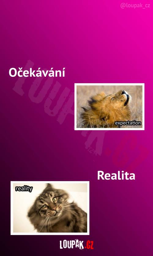  Jak si myslím, že vypadám vs realita 