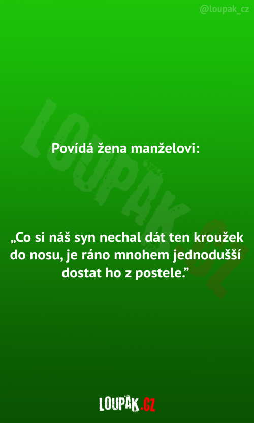  Povídá žena manželovi 