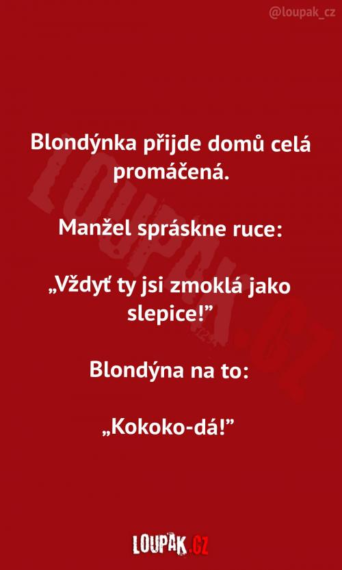  Když přijde manželka domů... 