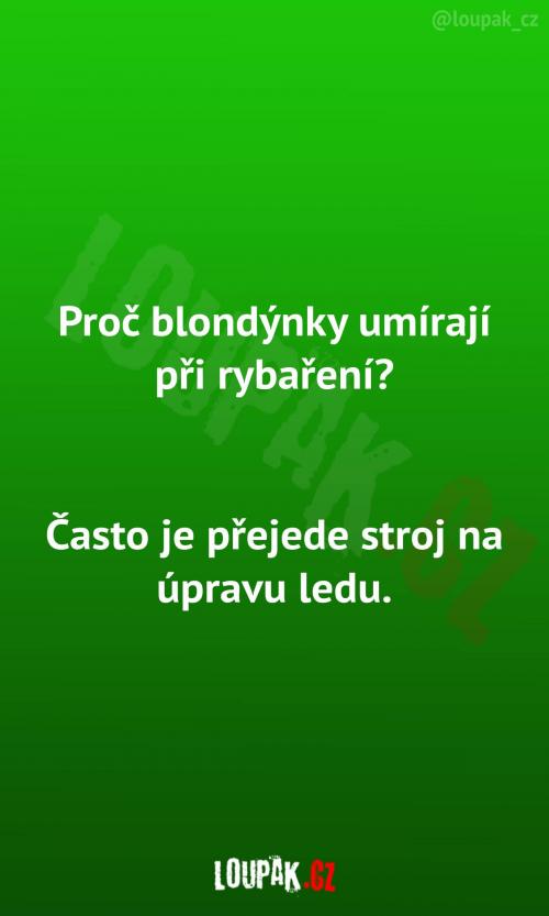  Proč neustále umírají? 