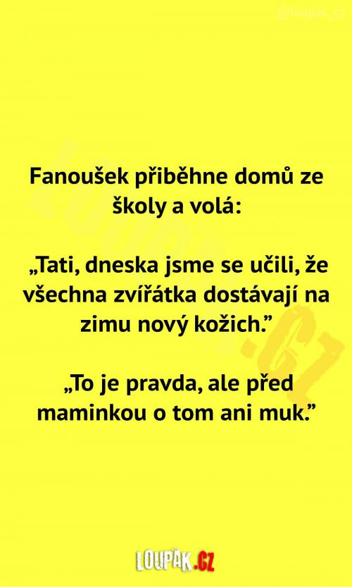  Fanouškův den ve škole 