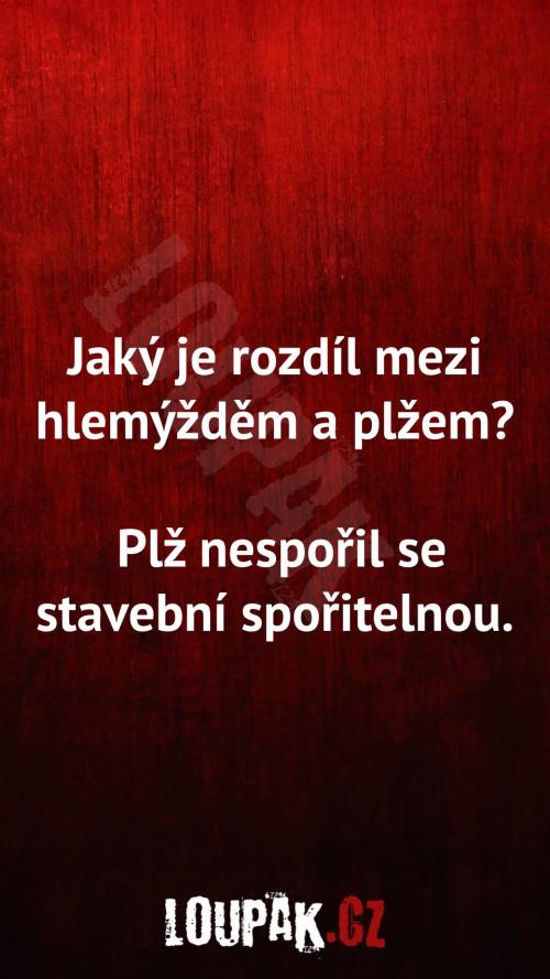  Rozdíl mezi hlemýžděm a plžem 