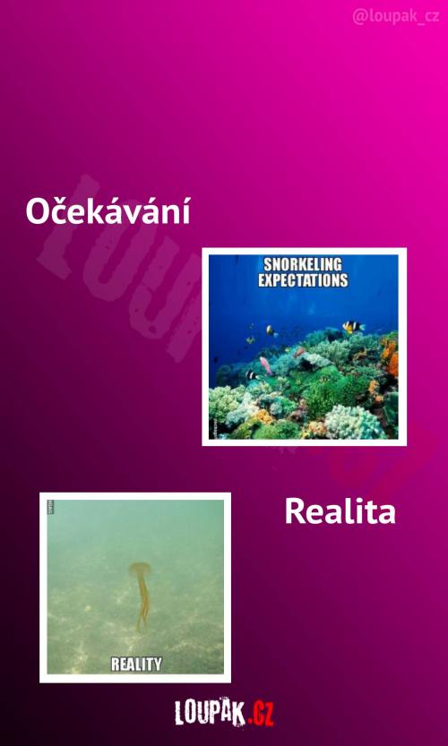  Skvělé potápění v oceánu 