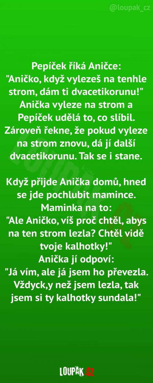 Anička převezla Pepíčka