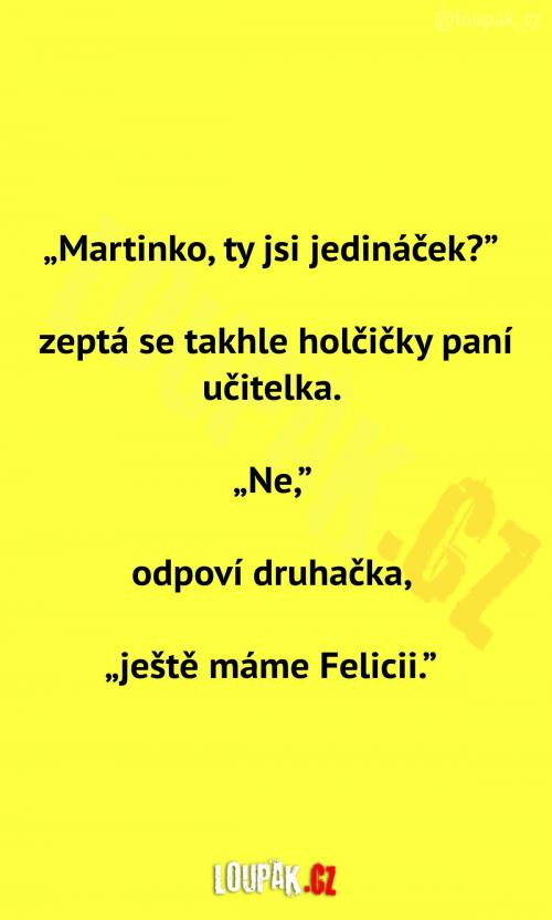  Jakpak se mají jedináčci.. 