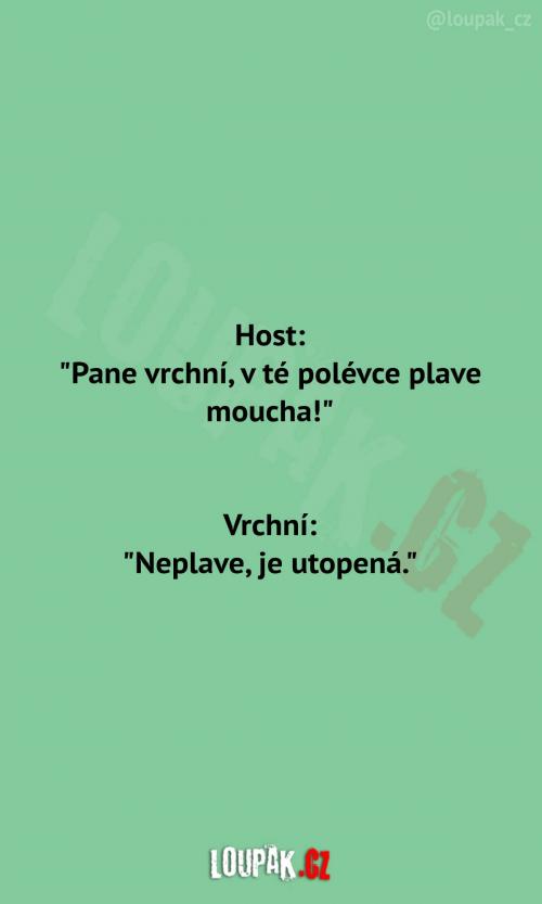  V polévce se nachází moucha 