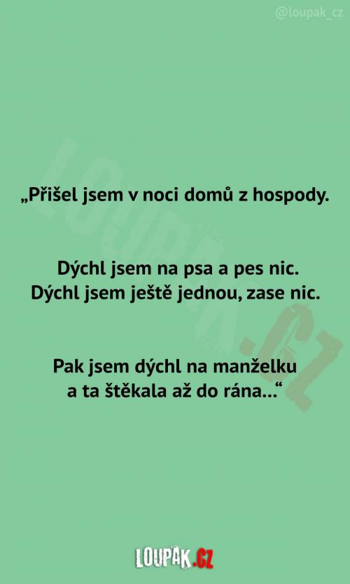  Manžel přišel domů z hospody 