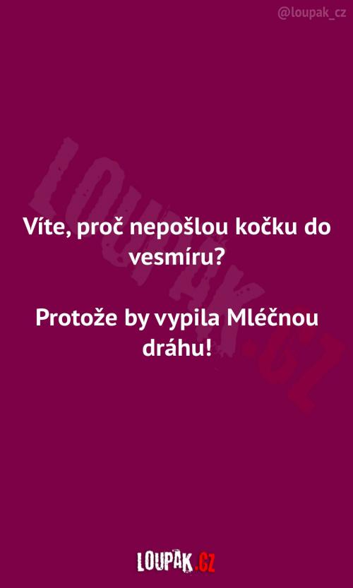  Proč nepošlou kočku do vesmíru? 