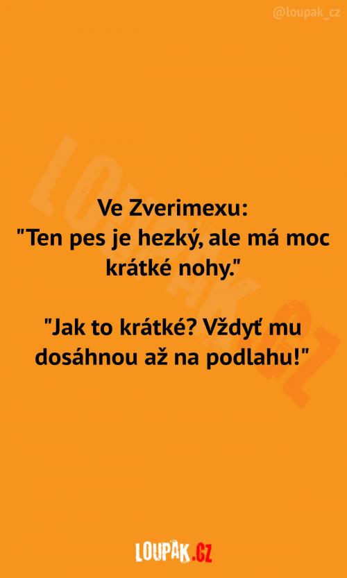  Má opravdu krátké nohy? 