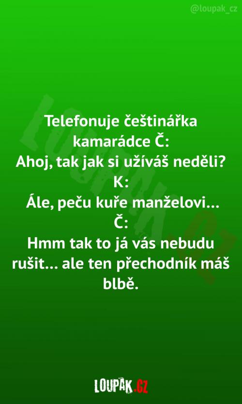  Telefonát s češtinářkou  