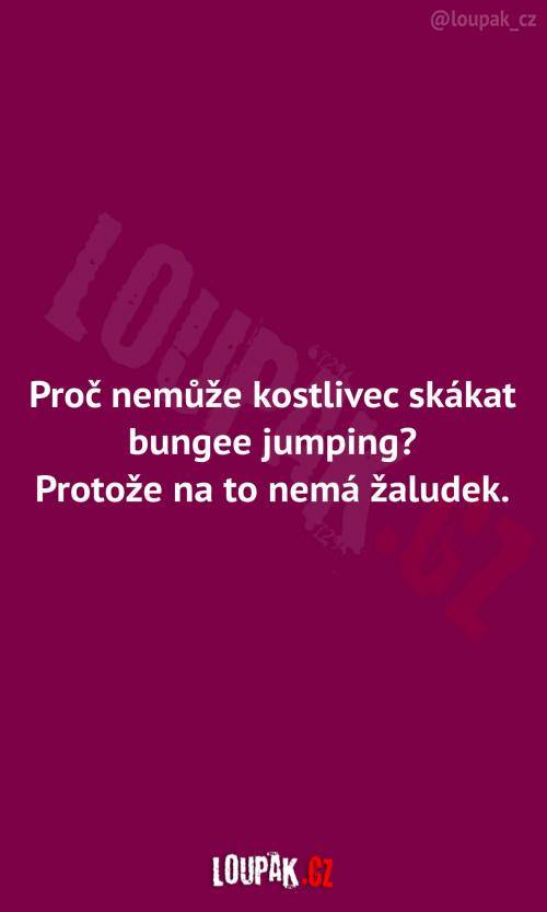 Proč nemůže koslivec skákat bungee jumping