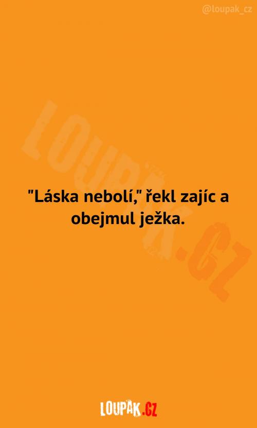  Láska nebolí, řekl zajíc a... 