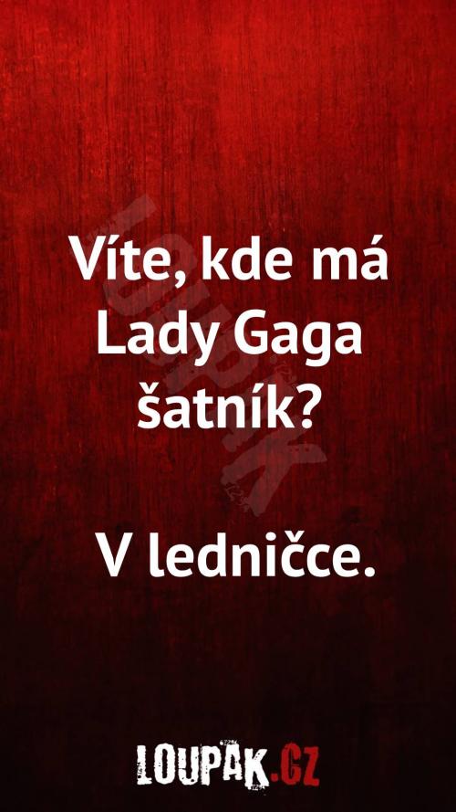  Kde má Lady Gaga šatník 