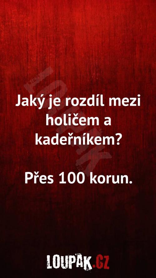  Rozdíl mezi holičem a kadeřníkem 