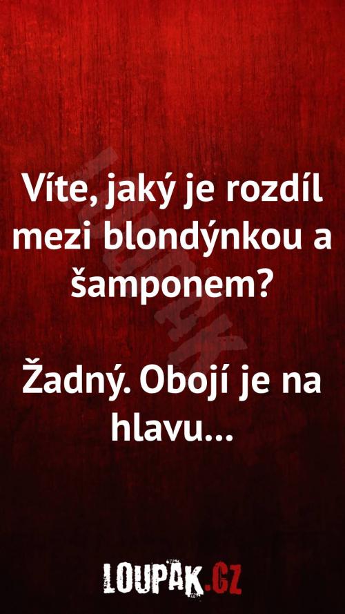  Rozdíl mezi blondýnkou a šamponem 