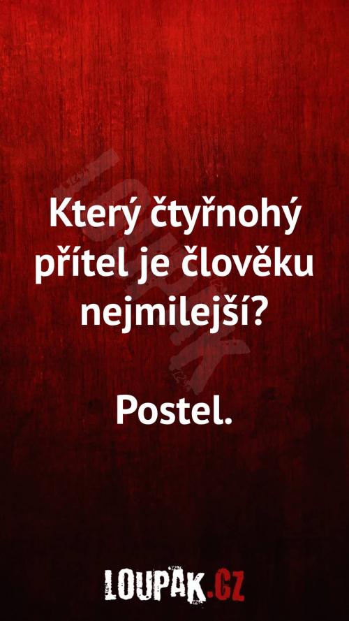  Který čtyřnohý přítel je člověku nejmilejší 