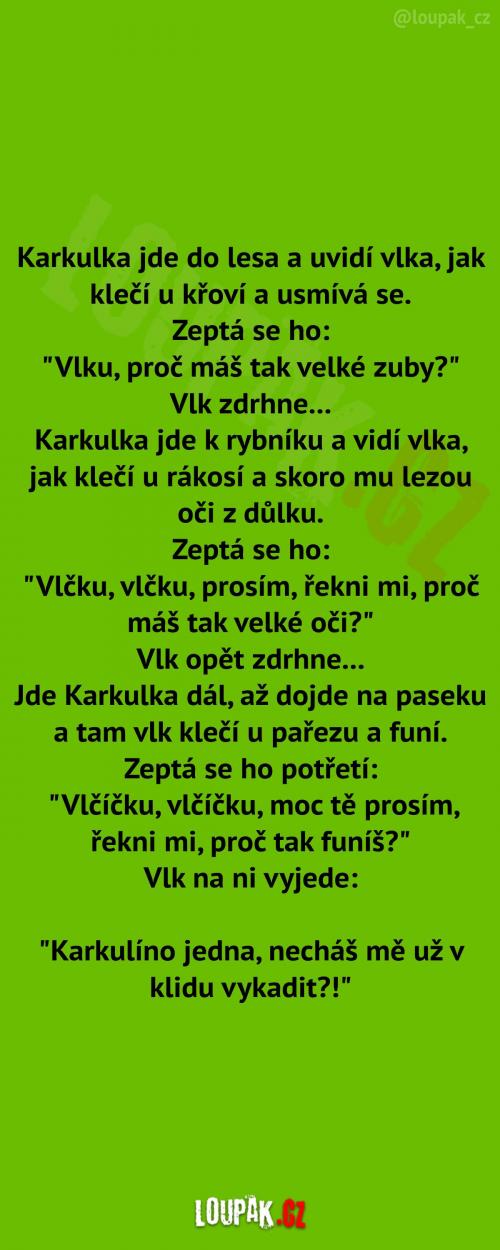  Karkulka v lese...   