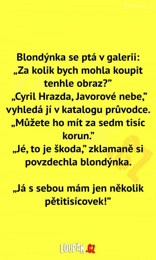  Blondýnka v galerii  