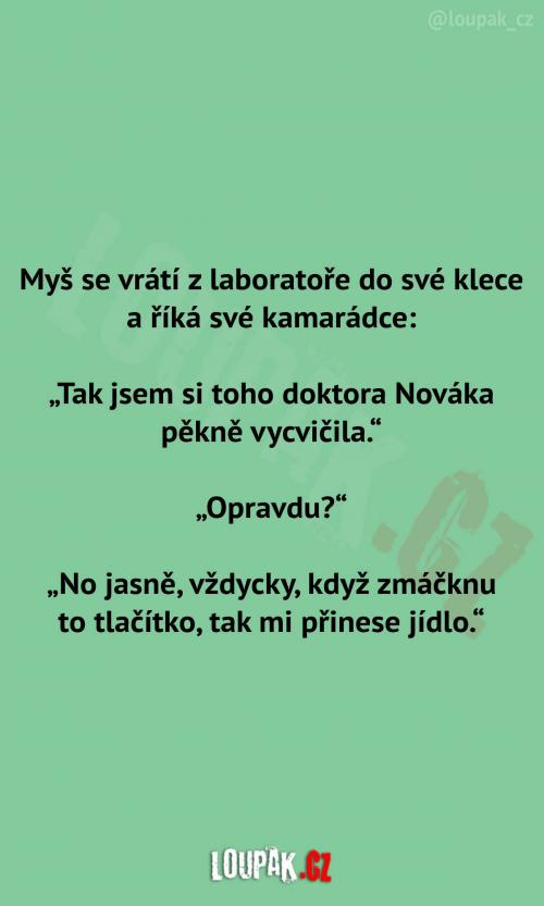  Myš a jídlo v laboratoři 