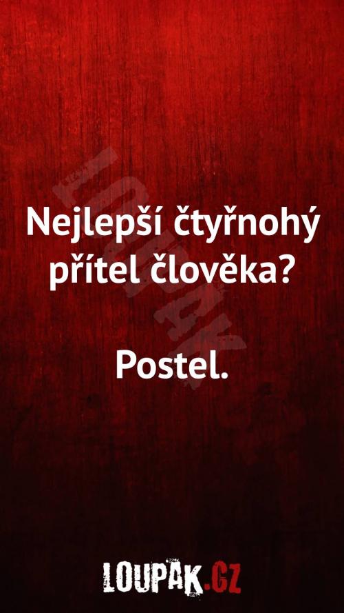  Nejlepší čtyřnohý přítel člověka 