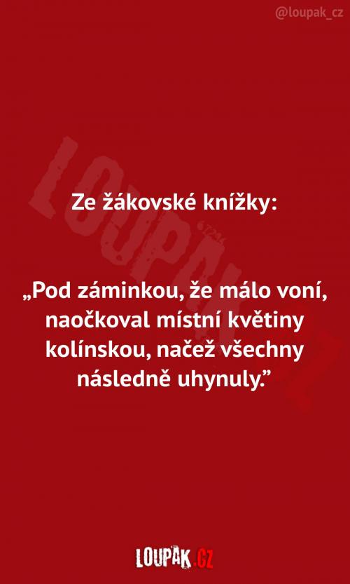  Poznámka v žákovské  