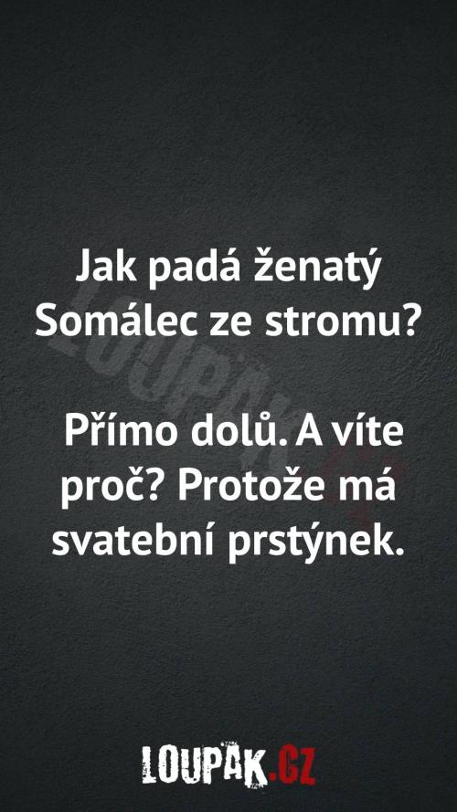  Jak padá ženatý Somálec ze stromu 