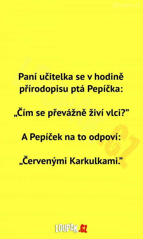  Čímpak se živí vlci  