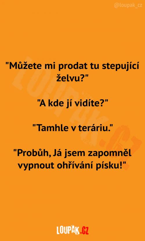 Máte stepující želvu?