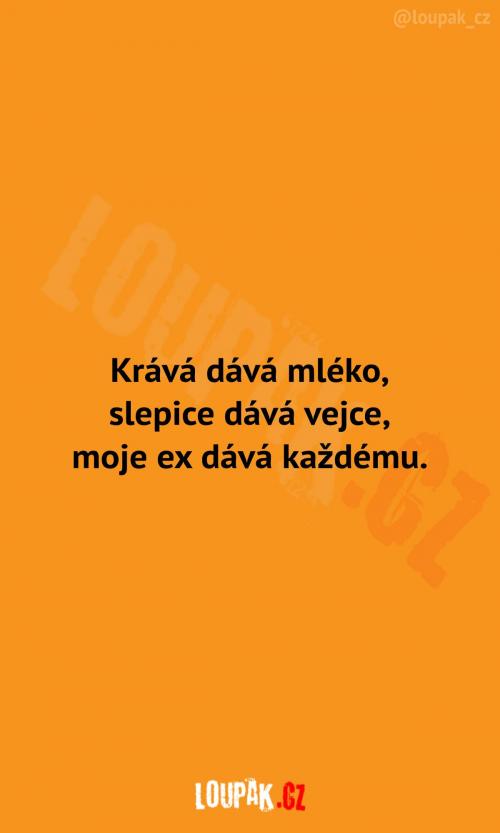  Krává, slepice a moje ex 