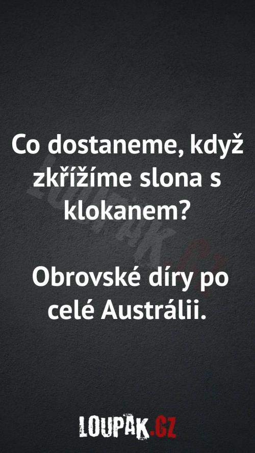 Co dostaneme, když zkřížíme slona s klokanem