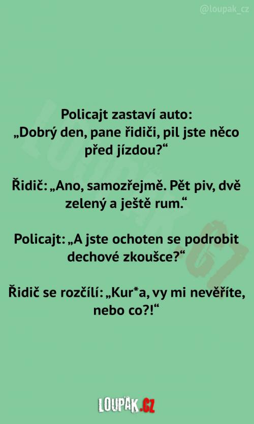  Řidič říká pravdu policajtovi 