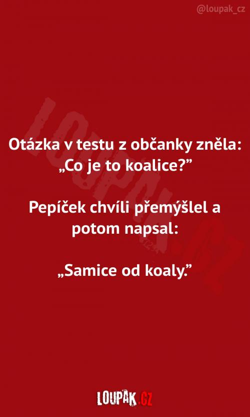 Co je to koalice...  