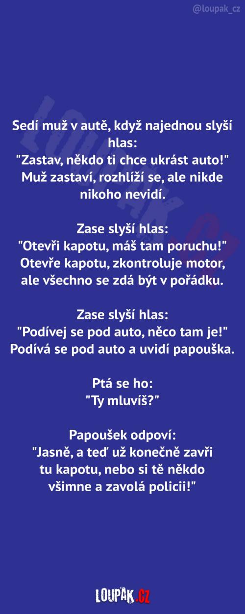  Muži chce někdo ukrást auto 