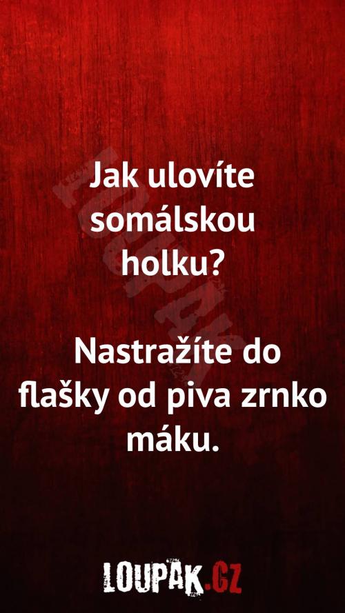  Jak ulovíte somálskou holku 