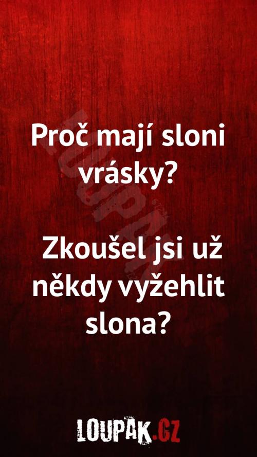  Proč mají sloni vrásky 