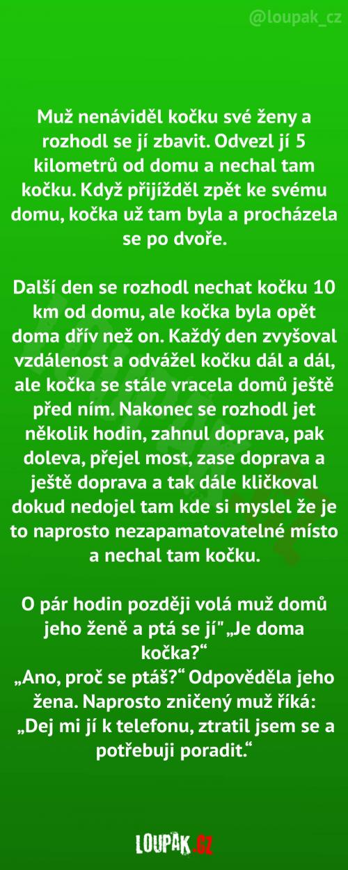  Kočka má skvělou paměť 