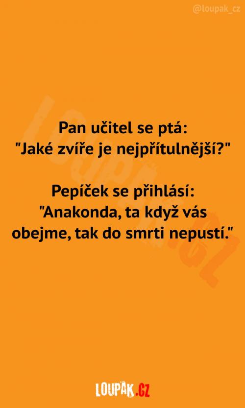  Jaké zvíře je nejpřítulnější? 