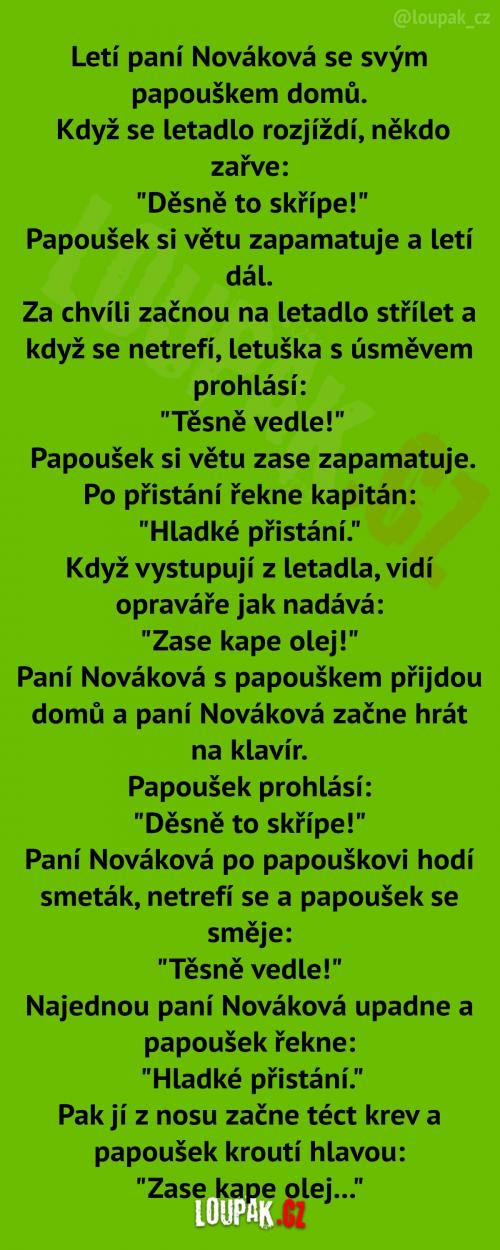  Let paní Novákové... 