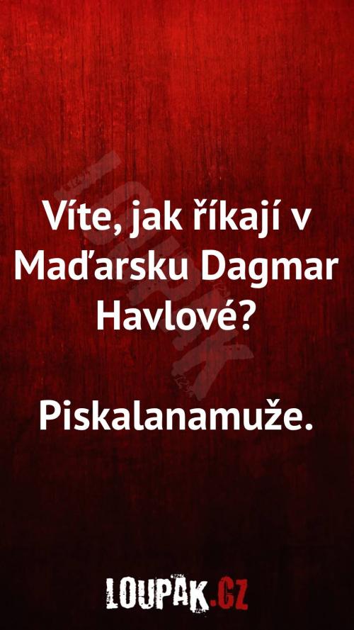  Jak říkají v Maďarsku Dagmar Havlové 