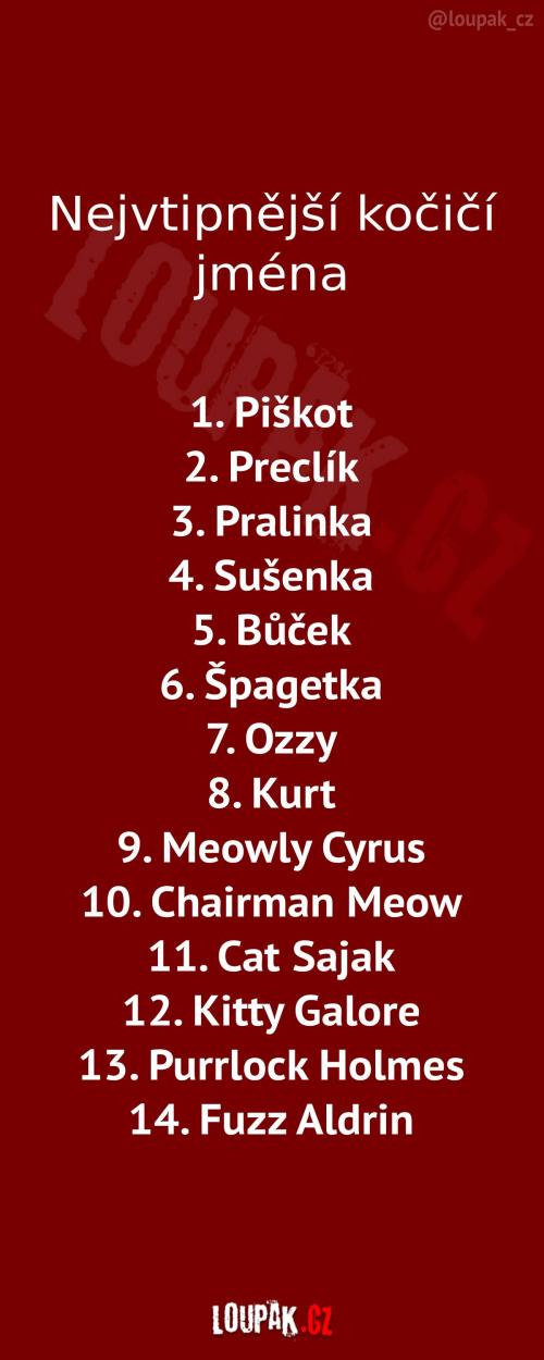  Nejvtipnější kočičí jména 