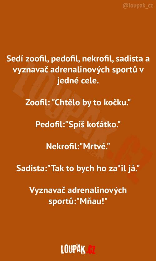  Setkání podivínů     