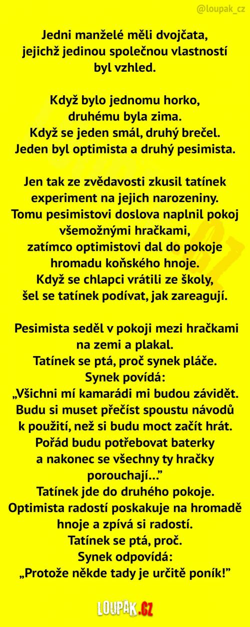  Dvojče optimista a dvojče pesimista 