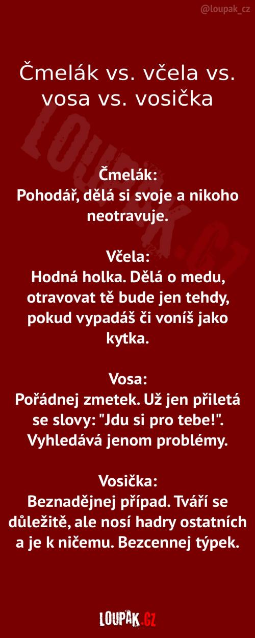Čmelák, včela, vosa a vosička